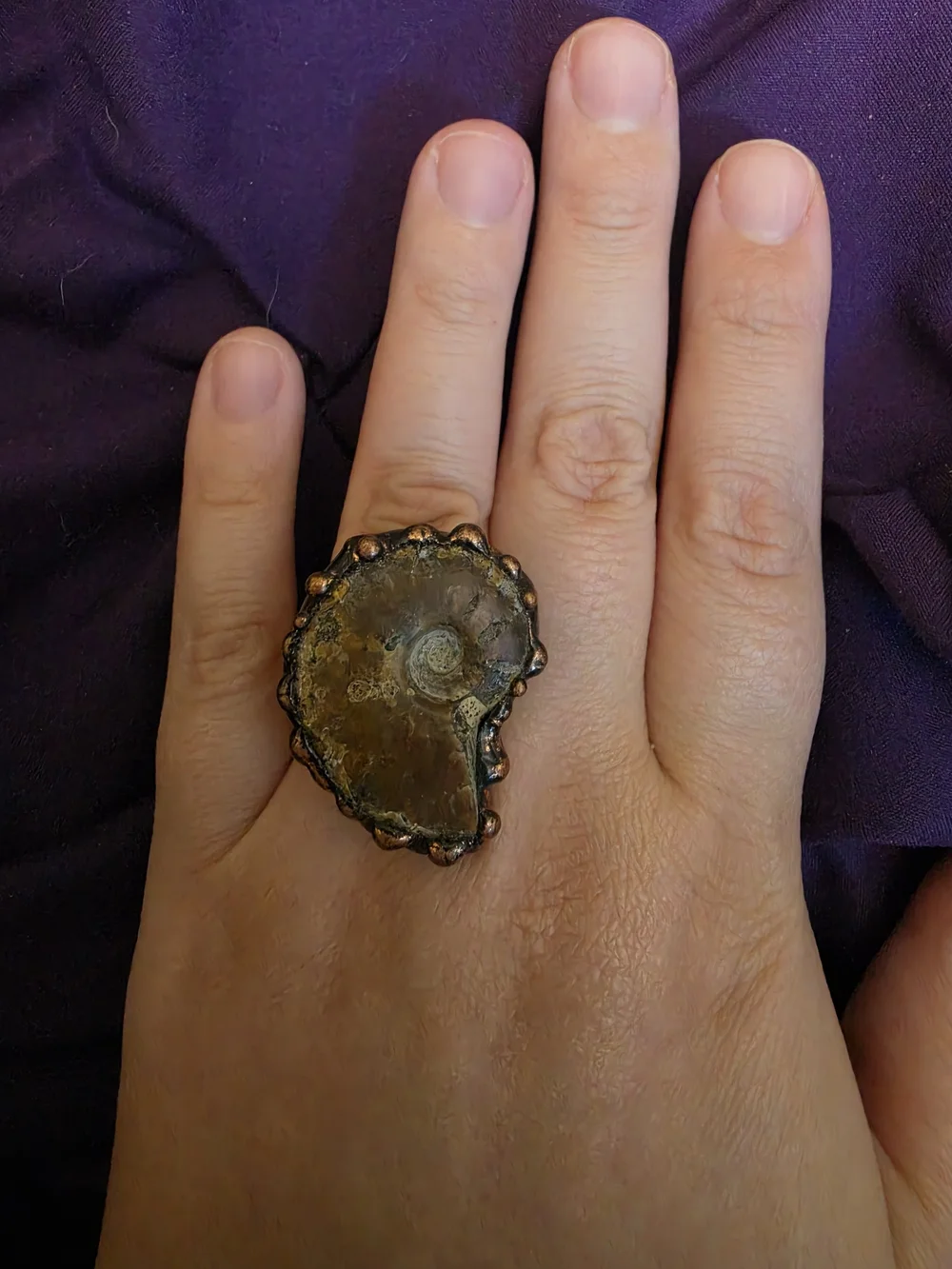 N/A unique ammonite